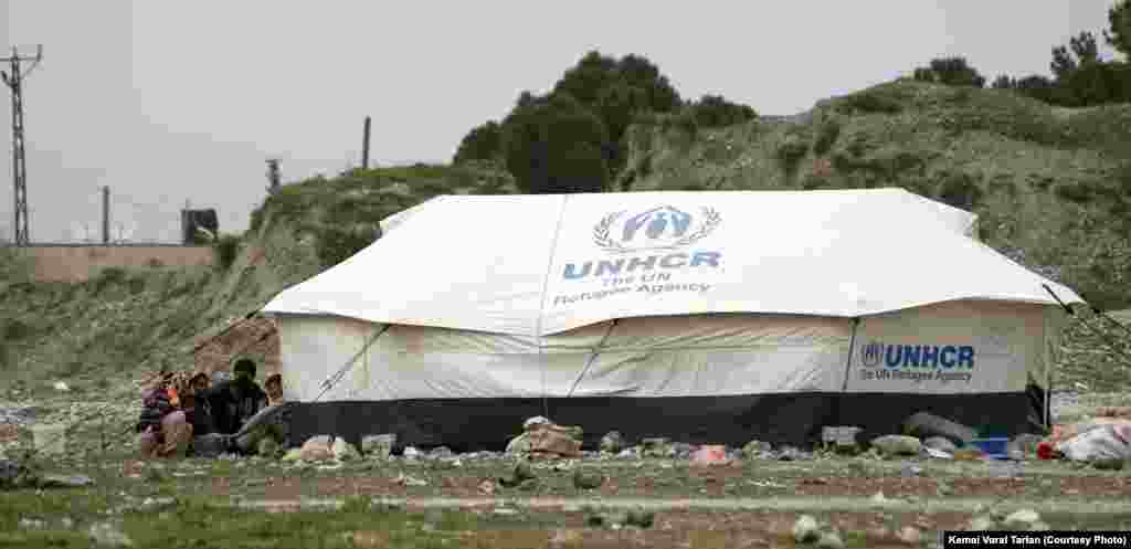 Dom family group, Gaziantep, Turkey