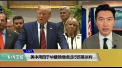 美国观察 2019年5月10日
