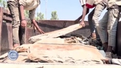 Dargaggoota Hojii Uummatan