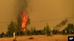Orang-orang menyaksikan kobaran api yang membakar pohon-pohon dalam kebakaran hutan di Desa Avgaria, Pulau Evia, sekitar 184 kilometer (113 mil) utara Athena, Yunani, 9 Agustus 2021.
