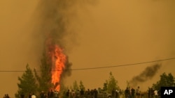 2021 年 8 月 9 日，在希臘雅典以北約 184 公里（113 英里）的埃維亞島上，人們看著火焰燃燒樹木。 