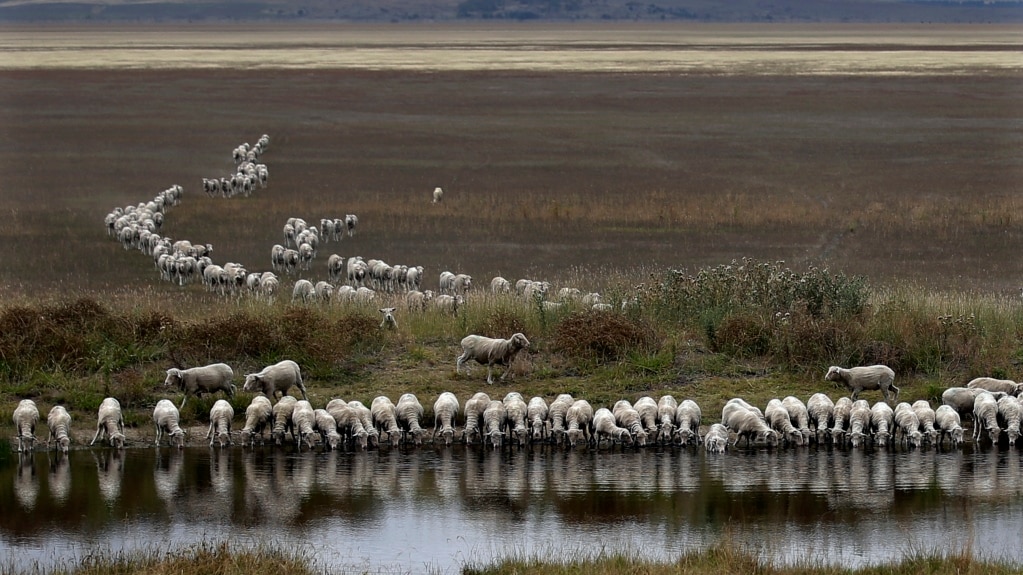 Researchers in Australia Develop a ‘Water Harvester’