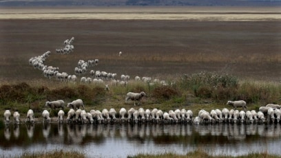 Researchers in Australia Develop a ‘Water Harvester’