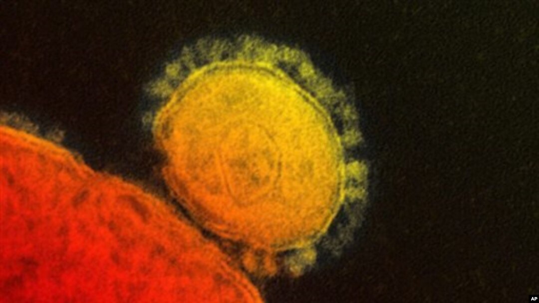 Virus MERS (foto: dok). 