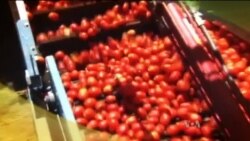 Buenos Días América 