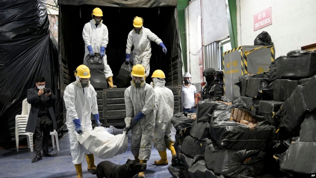 ARCHIVO - Trabajadores cargan droga incautada en varios operativos de la policía para su incineración en Cayambe, Ecuador, en abril de 2022.