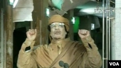 Televisi pemerintah Libya menyiarkan pidato Moammar Gaddafi di Tripoli, Libya (22/2). Gaddafi bersumpah untuk terus melawan para demonstran yang menuntutnya mundur.