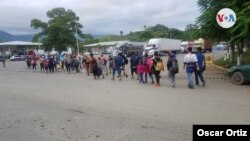 Las caravanas de migrantes centroamericanos hacia Estados Unidos han salido todas desde Honduras. Foto Oscar Arias, VOA.