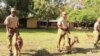 Botswana Turns to Trained Dogs to Protect Wildlife