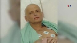Litvinenkonun öldürülmə planı Putin tərəfindən təsdiqlənib