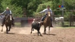 Կյանքը ամերիկյան ագարակում