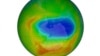 This image made available by NASA shows a map of a hole in the ozone layer over Antarctica on Sunday, Oct. 20, 2019.