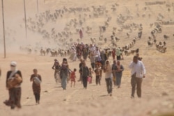 Warga etnis Yazidi ketika mengungsi akibat serangan kelompok teror ISIS di wilayah mereka di Sinjar, Irak tahun 2014 (foto: dok).