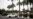 US Electric Vehicle Sales To Hit Record This Year