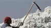 India Partially Reverses Cotton Exports Ban