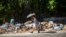 FILE - A woman walks by a pile of garbage in the Vedado neighborhood of Havana, Cuba, Oct. 20, 2018.