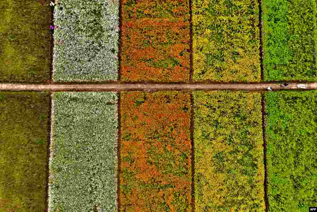 This image from above shows visitors walking in the fields of flowers during the Taoyuan Flower Festival in Taoyuan, Taiwan.