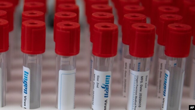资料照片:强生公司的子公司比利时杨森制药公司有关新冠病毒研究的实验室桌面上摆放的试管。(2020年6月17日)