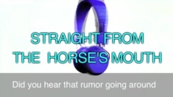 English in a Minute: Straight from the Horse's Mouth