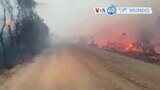 Manchetes mundo 19 agosto: Incêndios no Pantanal, o maior pântano do mundo, aproximam-se da principal estrada da região