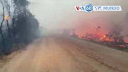 Manchetes mundo 19 agosto: Incêndios no Pantanal, o maior pântano do mundo, aproximam-se da principal estrada da região