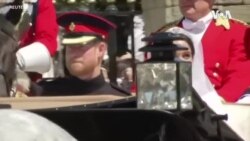 Harry Meghan Royals Reaction -- USAGM