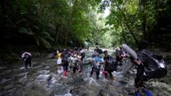 Los cruces por el Darién alcanzan cifras récord de migrantes