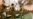 US Army Ups Bonuses for Recruits to $50K as COVID Takes Toll