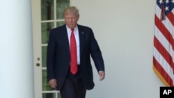 FILE - President Donald Trump walks out of the Oval Office into the Rose Garden of the White House in Washington, June 1, 2017.