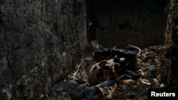 El cráneo de un soldado ruso se ve dentro de una trinchera cerca del pueblo de Robotyne, el 4 de noviembre de 2023.