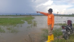 Seorang petani menunjuk areal persawahan yang terendam oleh luapan air danau di Desa Meko, Kecamatan Pamona Barat, Sabtu (2/10/2021). (Foto: VOA/Yoanes Litha)