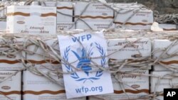 Gargaar Bini'aadanimo, Hay'adda WFP