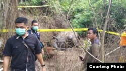 Petugas dari Polres Aceh Timur dan BKSDA Aceh saat memasang garis polisi di tempat kejadian matinya gajah Sumatera, Kamis (21/11). (Courtesy: BKSDA Aceh).