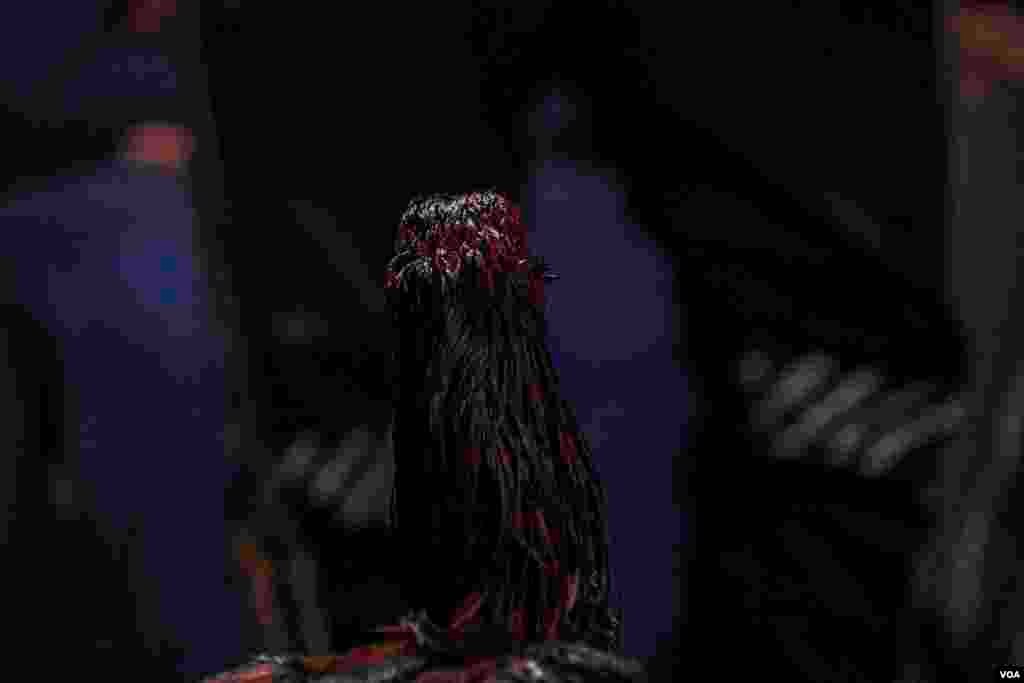 Dunyoning aksariyat mamlakatlarida hayvonlarni urushtirish qonun bilan taqiqlangan. Xususan, xo'roz urushtirish ham. Biroq bu jangning ashaddiy muxlislari choychaqa ishlab olish ilinjida chekka hududlarda an'anani davom ettirmoqda. Bunday tadbirlarga Misrda ham guvoh bo'lish mumkin.&nbsp;