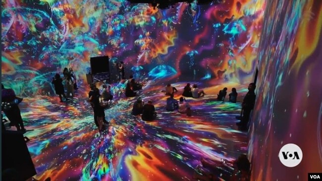 Pusat seni Artechouse dan Woods Hole Oceanographic Institution menghadirkan pertunjukan spektakuler "Twilight Zone: Hidden Wonders of the Ocean". (Maxim Adams/VOA)