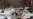 WHO Europe Chief Says Region in Midst of COVID-19 'Pandemic Paradox'