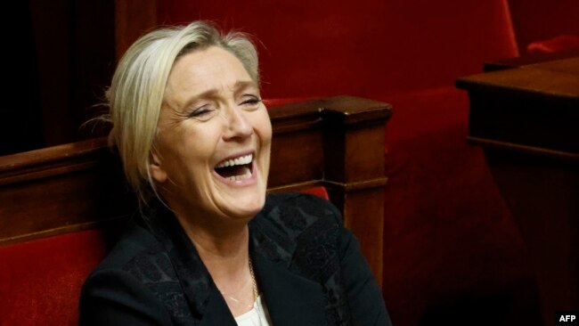 Ulusal Bütünleşme (RN) Partisi lideri Le Pen, 