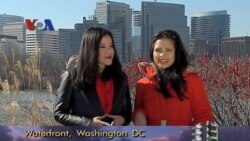 Kesehatan & Hari Peringatan Kanker Sedunia (3) - Dunia Kita