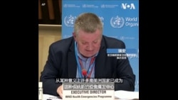 世界卫生组织提醒南美洲正成为新冠病毒疫情爆发中心