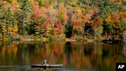 New Hampshire Foliage