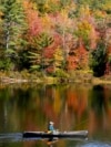 New Hampshire Foliage