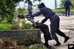 Un partisan de Tshisekedi malmené par un policier congolais devant le QG de l'UDPS à Kinshasa (8 déc. 2011)