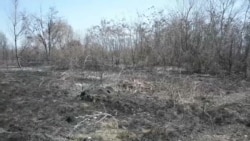 Голем број шумски пожари во Северна Македонија
