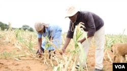 Izisebenzi epulazini.