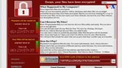 Kiberhücumlar ciddi təhlükə yaradır