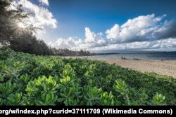 Kapalua Beach, Maui, Hawaii