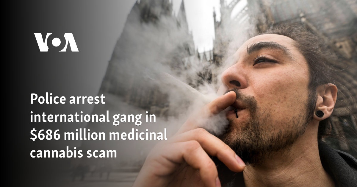 Police arrest $686 million international medicinal cannabis fraud ring
