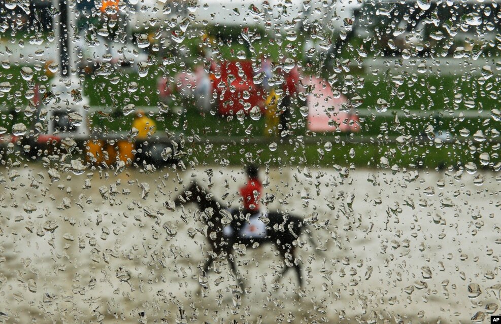 A horse moves along a muddy track after rain ahead of the 141st Preakness Stakes horse race at Pimlico Race Course in Baltimore, May 21, 2016.
