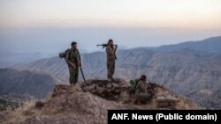 Çekdarên PKK’ê 