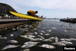 Dead fish are pictured next to a rowing athlete as he puts his boat on the water before a training session at the Rodrigo de Freitas lagoon, in Rio de Janeiro April 13, 2015.